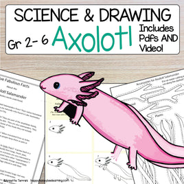 Axolotl Directed Drawing Fun for your Young Artist!